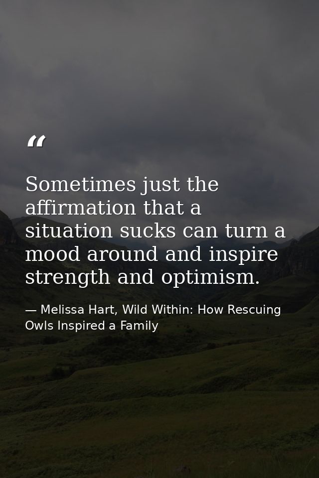 Sometimes just the affirmation that a situation sucks can turn a mood around and inspire strength and optimism. — Melissa Hart, Wild Within: How Rescuing Owls Inspired a Family