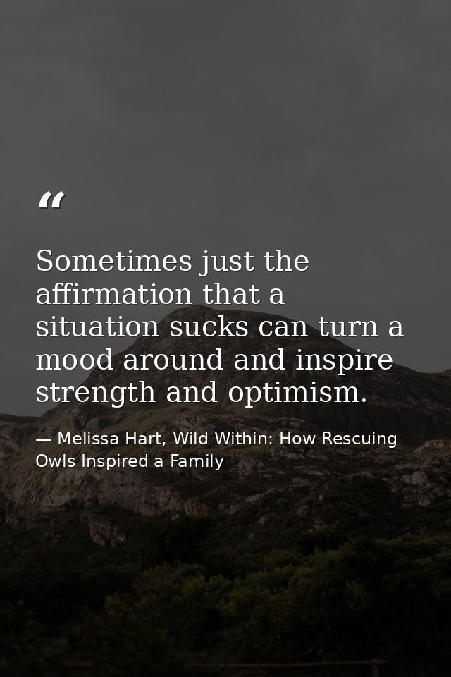 Sometimes just the affirmation that a situation sucks can turn a mood around and inspire strength and optimism. — Melissa Hart, Wild Within: How Rescuing Owls Inspired a Family