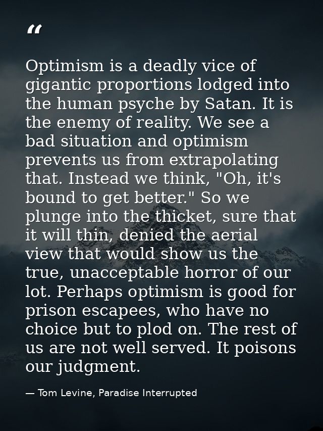 Optimism is a deadly vice of gigantic proportions lodged into the human psyche by Satan. It is the enemy of reality. We  — Tom Levine, Paradise Interrupted