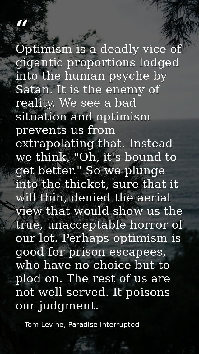 Optimism is a deadly vice of gigantic proportions lodged into the human psyche by Satan. It is the enemy of reality. We  — Tom Levine, Paradise Interrupted