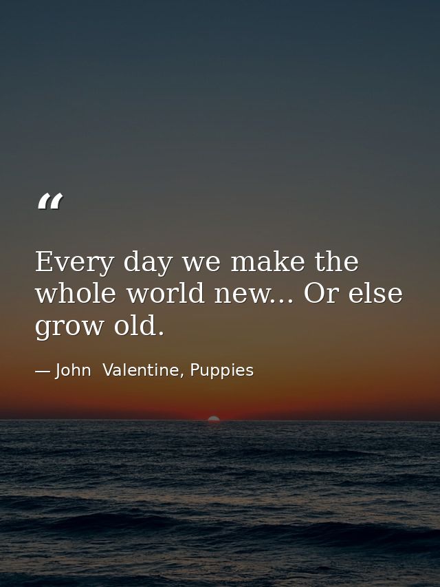 Every day we make the whole world new... Or else grow old. — John  Valentine, Puppies