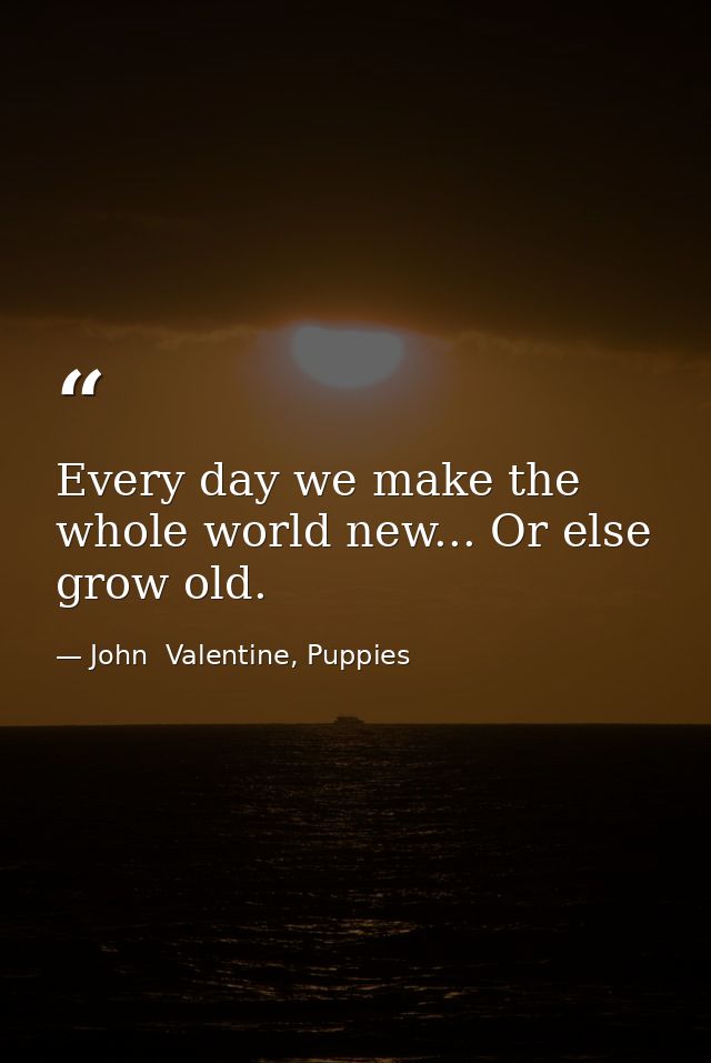 Every day we make the whole world new... Or else grow old. — John  Valentine, Puppies