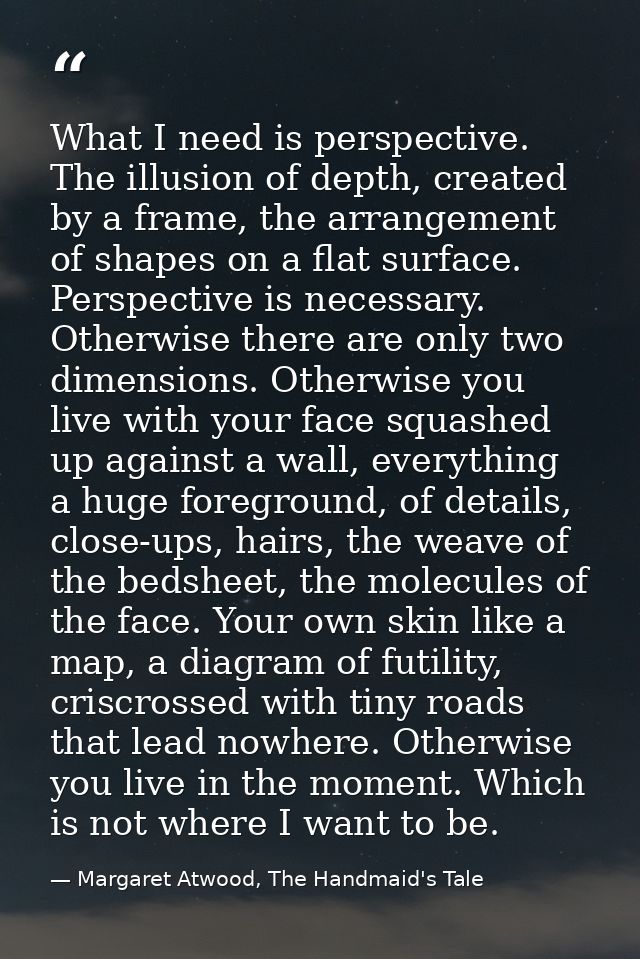 What I need is perspective. The illusion of depth, created by a frame, the arrangement of shapes on a flat surface. Pers — Margaret Atwood, The Handmaid's Tale