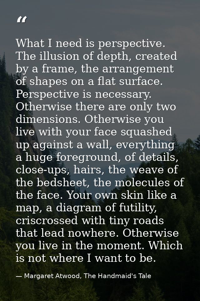 What I need is perspective. The illusion of depth, created by a frame, the arrangement of shapes on a flat surface. Pers — Margaret Atwood, The Handmaid's Tale