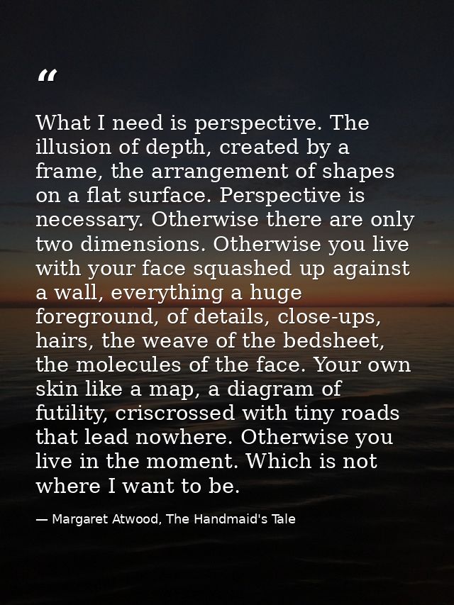 What I need is perspective. The illusion of depth, created by a frame, the arrangement of shapes on a flat surface. Pers — Margaret Atwood, The Handmaid's Tale