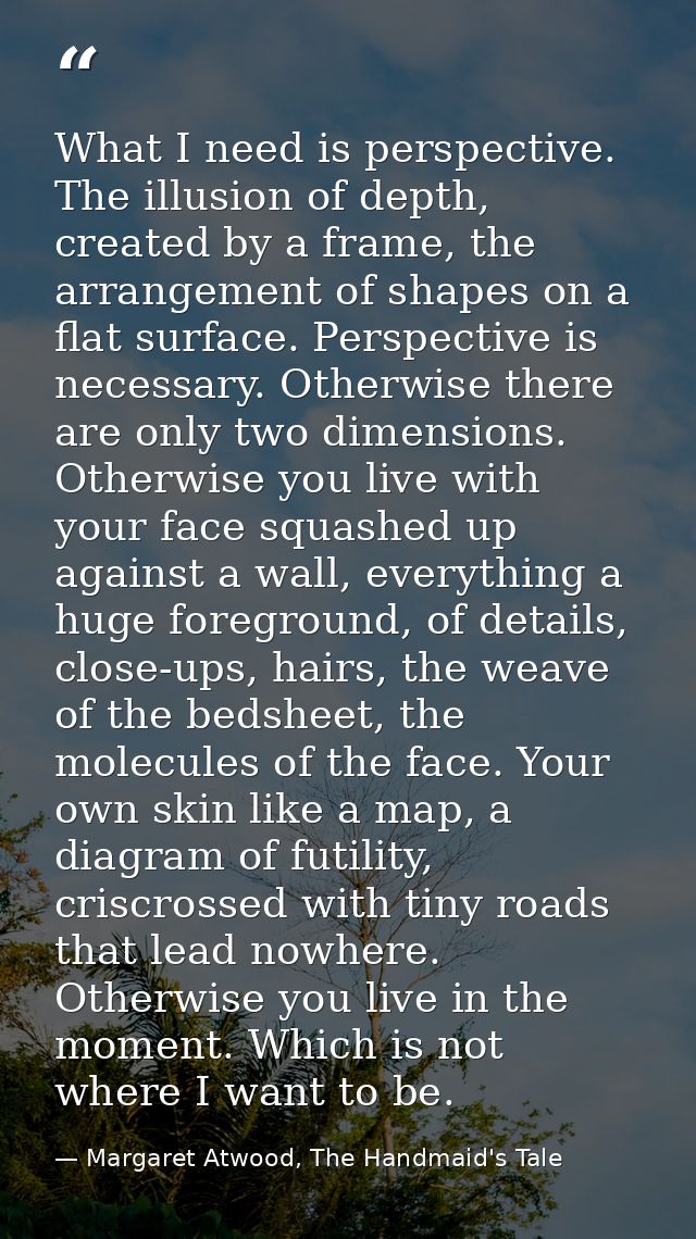 What I need is perspective. The illusion of depth, created by a frame, the arrangement of shapes on a flat surface. Pers — Margaret Atwood, The Handmaid's Tale