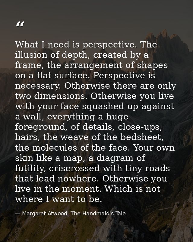 What I need is perspective. The illusion of depth, created by a frame, the arrangement of shapes on a flat surface. Pers — Margaret Atwood, The Handmaid's Tale