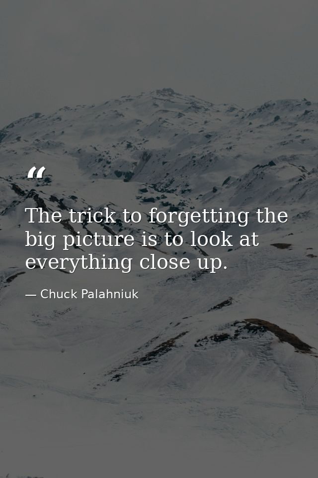 The trick to forgetting the big picture is to look at everything close up. — Chuck Palahniuk