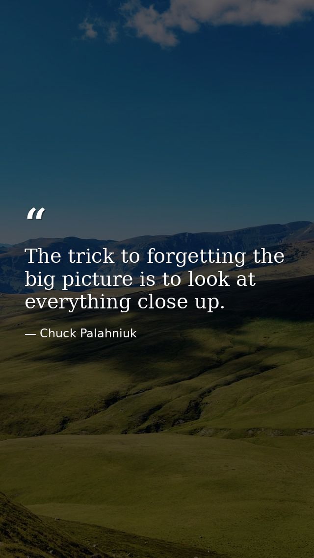 The trick to forgetting the big picture is to look at everything close up. — Chuck Palahniuk