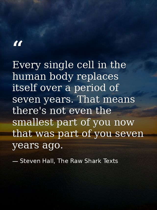 Every single cell in the human body replaces itself over a period of seven years. That means there's not even the smalle — Steven Hall, The Raw Shark Texts
