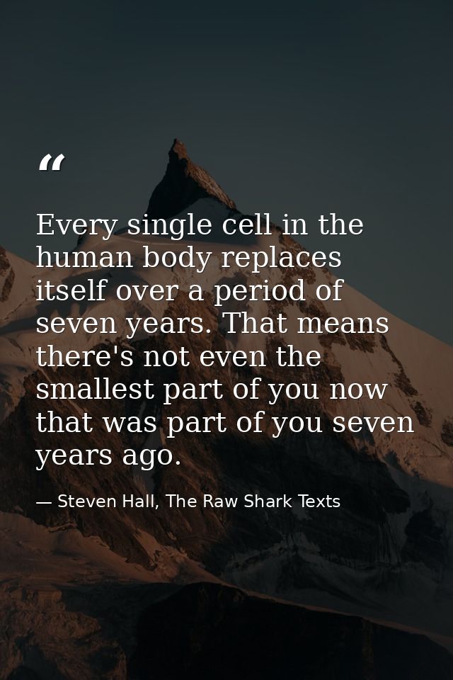 Every single cell in the human body replaces itself over a period of seven years. That means there's not even the smalle — Steven Hall, The Raw Shark Texts