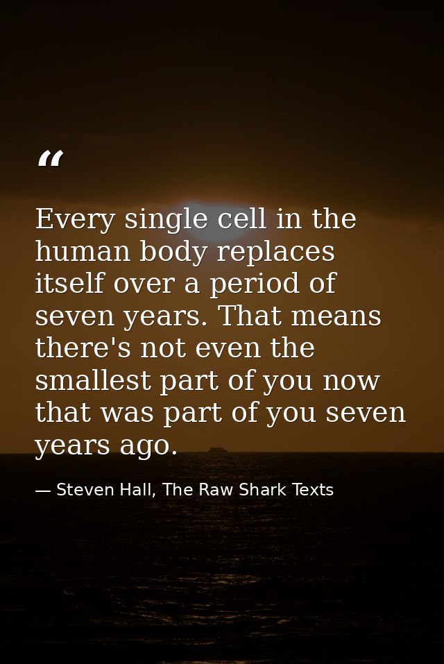 Every single cell in the human body replaces itself over a period of seven years. That means there's not even the smalle — Steven Hall, The Raw Shark Texts