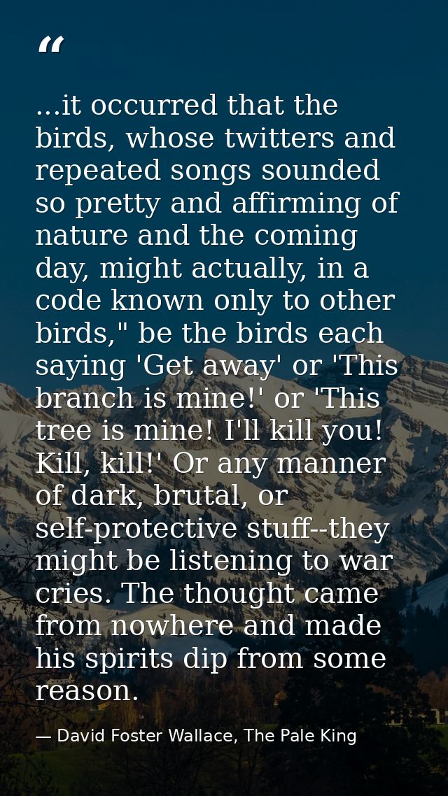 ...it occurred that the birds, whose twitters and repeated songs sounded so pretty and affirming of nature and the comin — David Foster Wallace, The Pale King