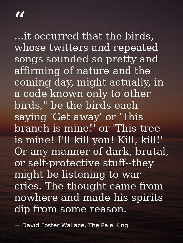 ...it occurred that the birds, whose twitters and repeated songs sounded so pretty and affirming of nature and the comin — David Foster Wallace, The Pale King