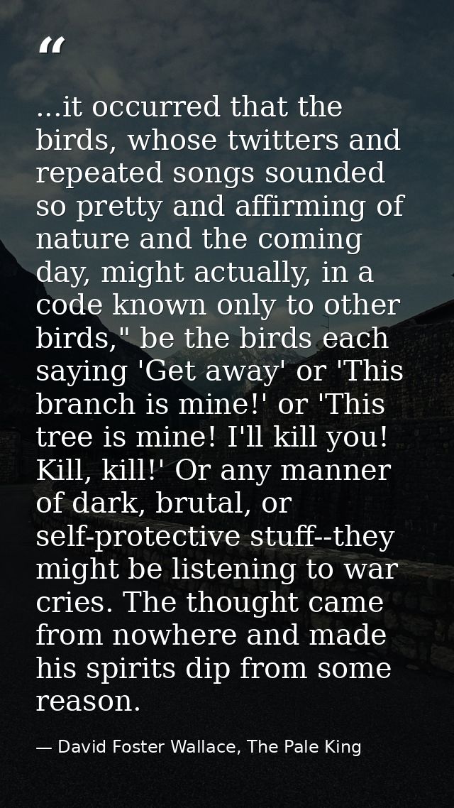 ...it occurred that the birds, whose twitters and repeated songs sounded so pretty and affirming of nature and the comin — David Foster Wallace, The Pale King
