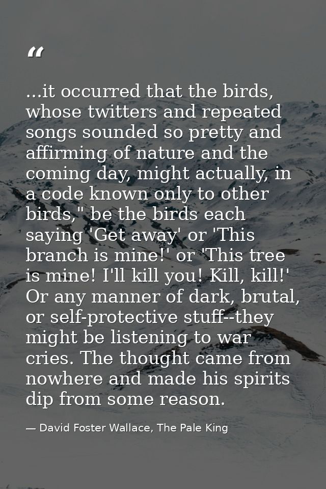 ...it occurred that the birds, whose twitters and repeated songs sounded so pretty and affirming of nature and the comin — David Foster Wallace, The Pale King