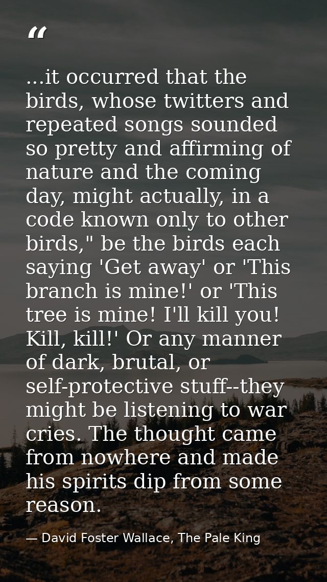 ...it occurred that the birds, whose twitters and repeated songs sounded so pretty and affirming of nature and the comin — David Foster Wallace, The Pale King
