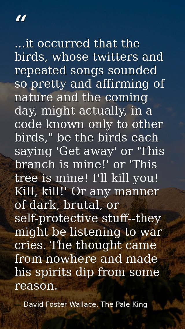 ...it occurred that the birds, whose twitters and repeated songs sounded so pretty and affirming of nature and the comin — David Foster Wallace, The Pale King
