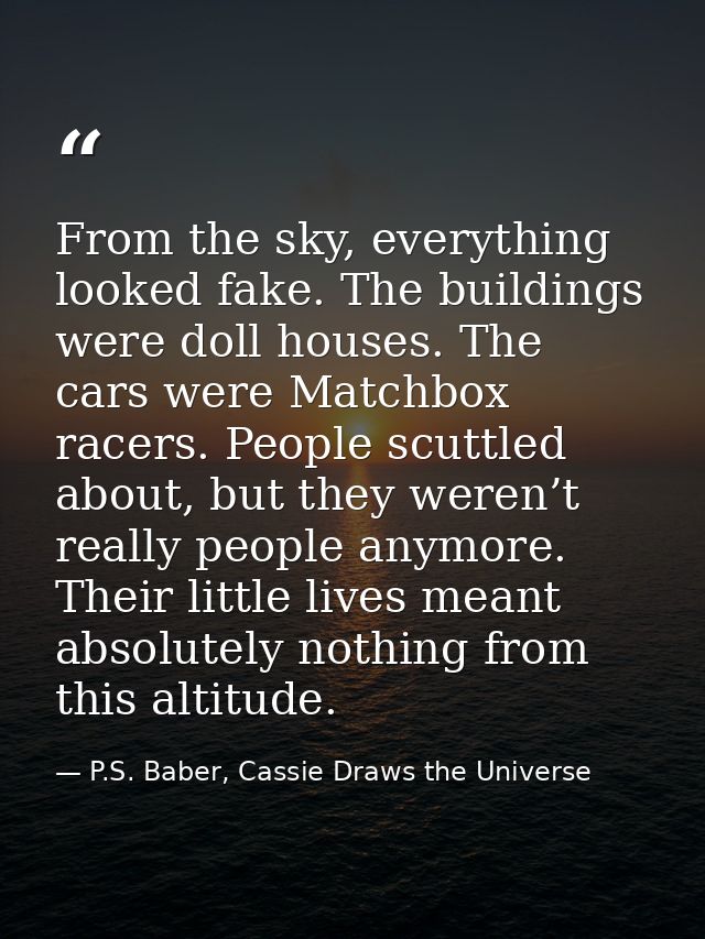From the sky, everything looked fake. The buildings were doll houses. The cars were Matchbox racers. People scuttled abo — P.S. Baber, Cassie Draws the Universe