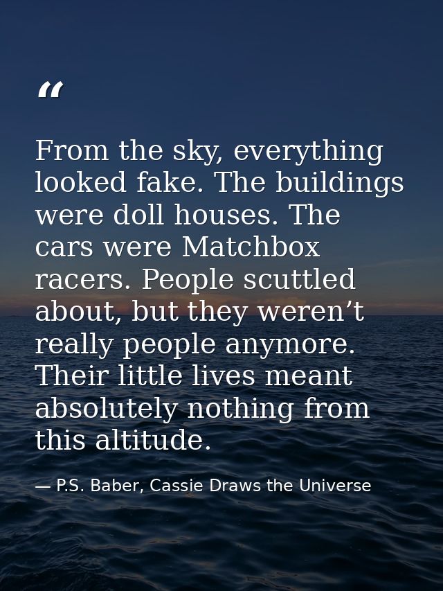 From the sky, everything looked fake. The buildings were doll houses. The cars were Matchbox racers. People scuttled abo — P.S. Baber, Cassie Draws the Universe