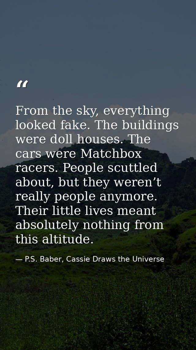 From the sky, everything looked fake. The buildings were doll houses. The cars were Matchbox racers. People scuttled abo — P.S. Baber, Cassie Draws the Universe