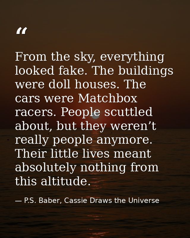 From the sky, everything looked fake. The buildings were doll houses. The cars were Matchbox racers. People scuttled abo — P.S. Baber, Cassie Draws the Universe