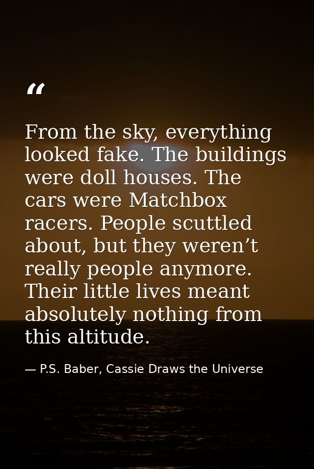 From the sky, everything looked fake. The buildings were doll houses. The cars were Matchbox racers. People scuttled abo — P.S. Baber, Cassie Draws the Universe