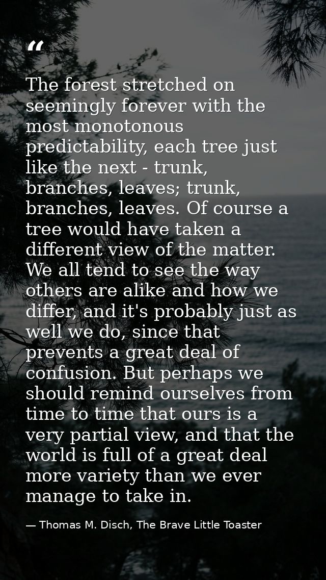 The forest stretched on seemingly forever with the most monotonous predictability, each tree just like the next - trunk, — Thomas M. Disch, The Brave Little Toaster