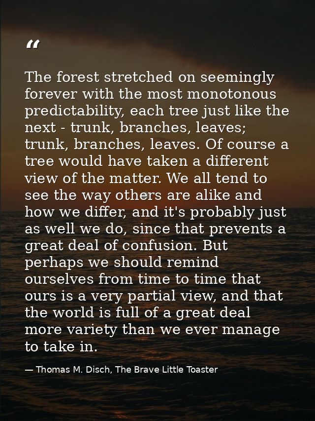 The forest stretched on seemingly forever with the most monotonous predictability, each tree just like the next - trunk, — Thomas M. Disch, The Brave Little Toaster