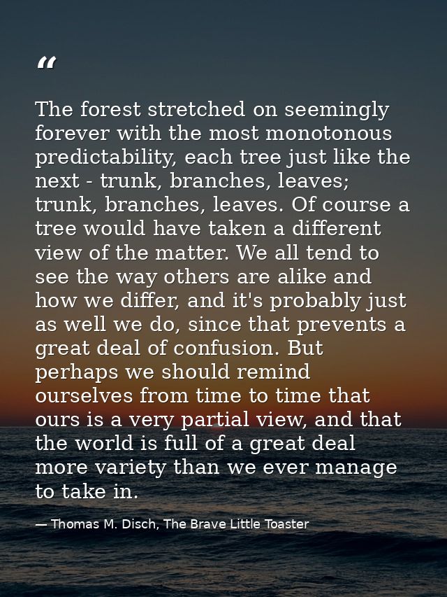 The forest stretched on seemingly forever with the most monotonous predictability, each tree just like the next - trunk, — Thomas M. Disch, The Brave Little Toaster