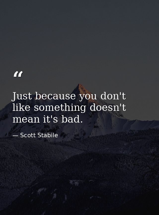 Just because you don't like something doesn't mean it's bad. — Scott Stabile