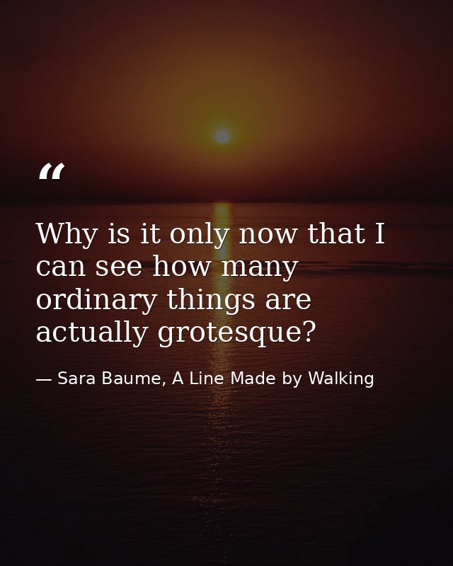 Why is it only now that I can see how many ordinary things are actually grotesque? — Sara Baume, A Line Made by Walking