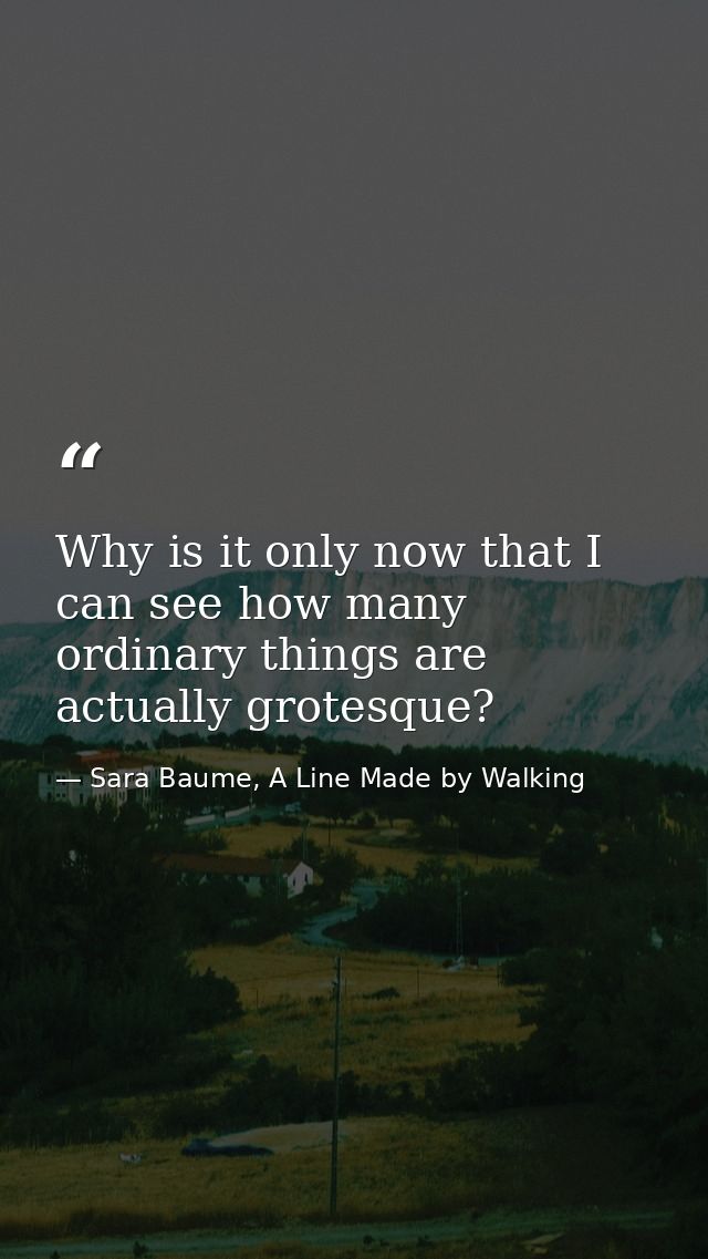 Why is it only now that I can see how many ordinary things are actually grotesque? — Sara Baume, A Line Made by Walking