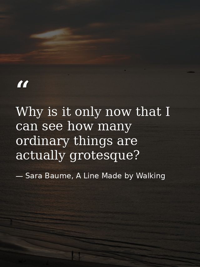 Why is it only now that I can see how many ordinary things are actually grotesque? — Sara Baume, A Line Made by Walking