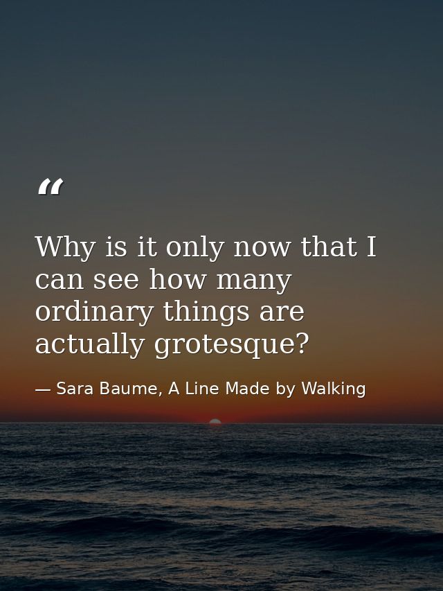 Why is it only now that I can see how many ordinary things are actually grotesque? — Sara Baume, A Line Made by Walking