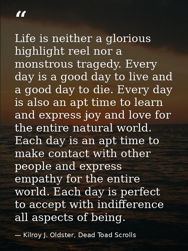 Life is neither a glorious highlight reel nor a monstrous tragedy. Every day is a good day to live and a good day to die — Kilroy J. Oldster, Dead Toad Scrolls
