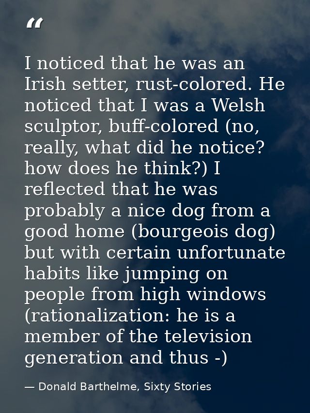 I noticed that he was an Irish setter, rust-colored. He noticed that I was a Welsh sculptor, buff-colored (no, really, w — Donald Barthelme, Sixty Stories