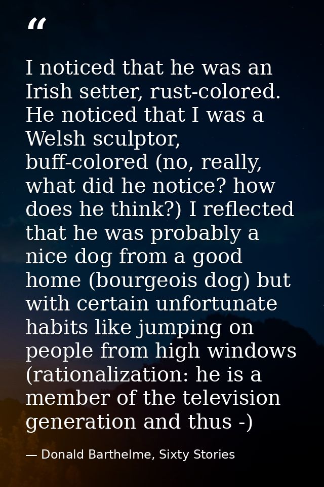 I noticed that he was an Irish setter, rust-colored. He noticed that I was a Welsh sculptor, buff-colored (no, really, w — Donald Barthelme, Sixty Stories