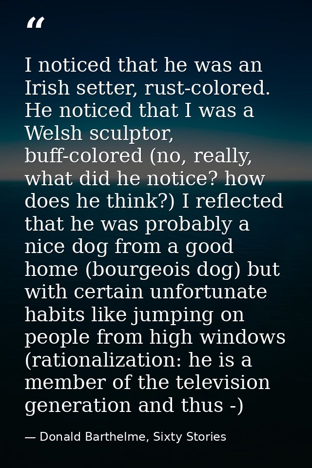 I noticed that he was an Irish setter, rust-colored. He noticed that I was a Welsh sculptor, buff-colored (no, really, w — Donald Barthelme, Sixty Stories