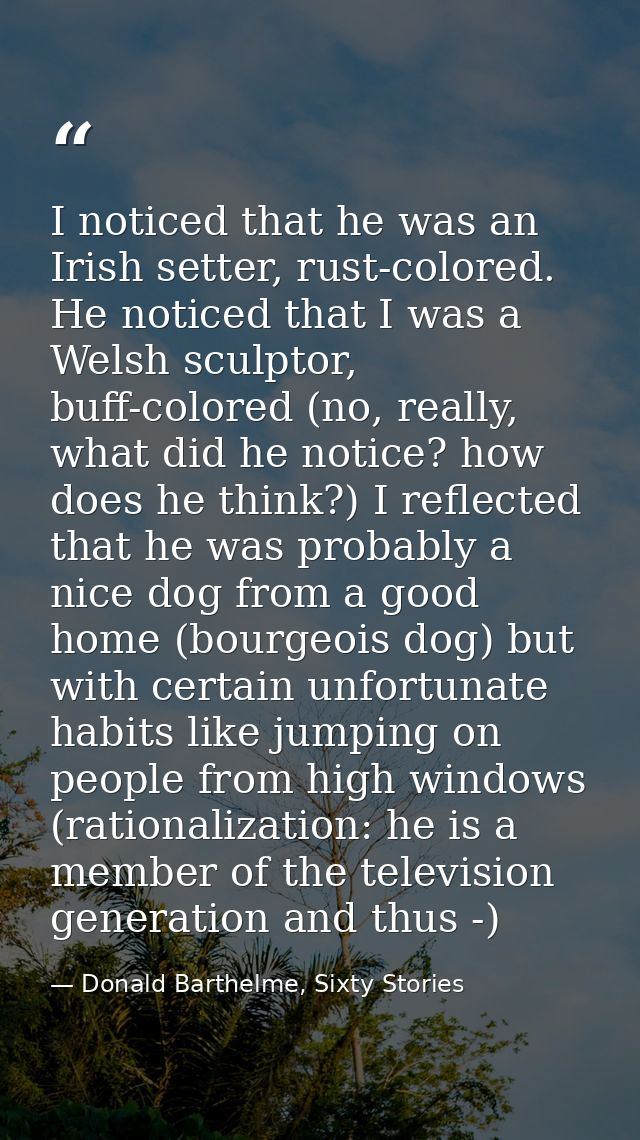 I noticed that he was an Irish setter, rust-colored. He noticed that I was a Welsh sculptor, buff-colored (no, really, w — Donald Barthelme, Sixty Stories