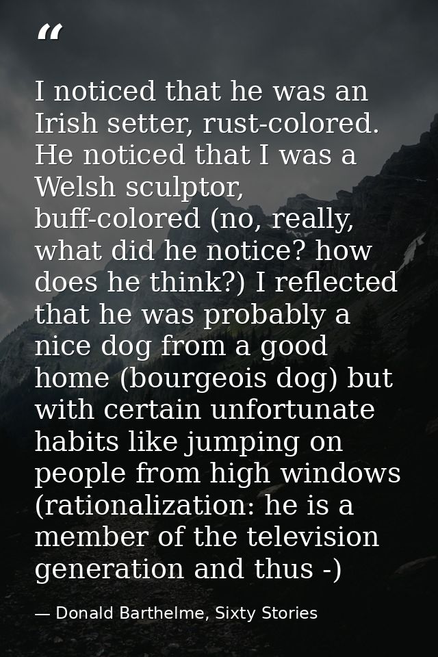 I noticed that he was an Irish setter, rust-colored. He noticed that I was a Welsh sculptor, buff-colored (no, really, w — Donald Barthelme, Sixty Stories