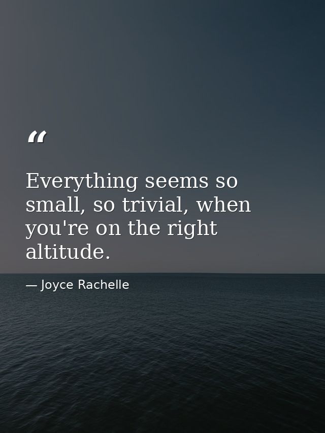 Everything seems so small, so trivial, when you're on the right altitude. — Joyce Rachelle