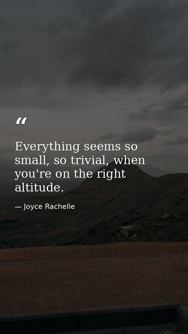 Everything seems so small, so trivial, when you're on the right altitude. — Joyce Rachelle