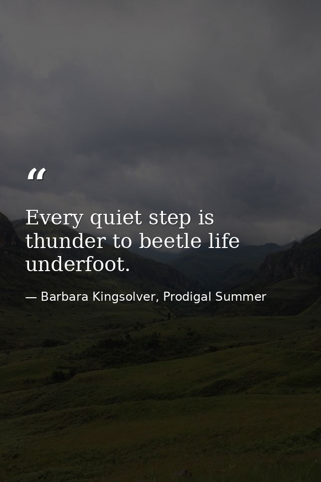 Every quiet step is thunder to beetle life underfoot. — Barbara Kingsolver, Prodigal Summer