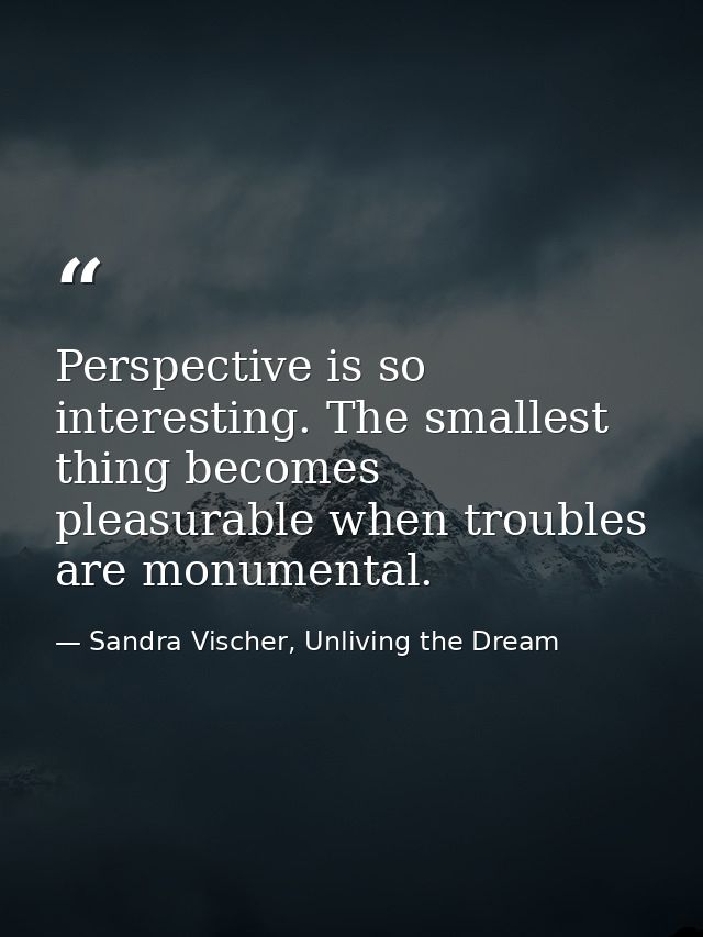 Perspective is so interesting. The smallest thing becomes pleasurable when troubles are monumental. — Sandra Vischer, Unliving the Dream