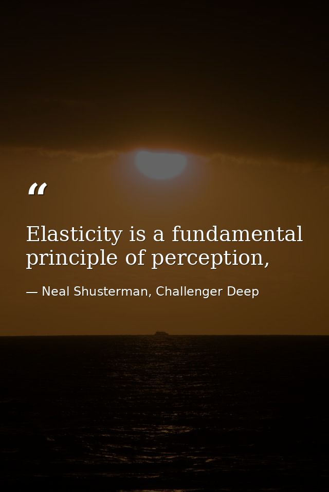 Elasticity is a fundamental principle of perception, — Neal Shusterman, Challenger Deep