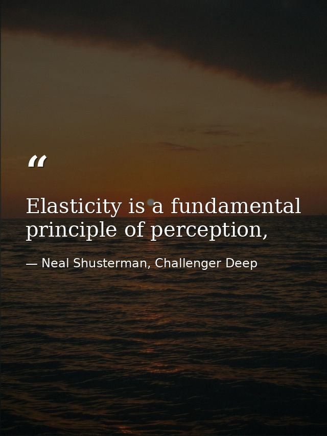 Elasticity is a fundamental principle of perception, — Neal Shusterman, Challenger Deep