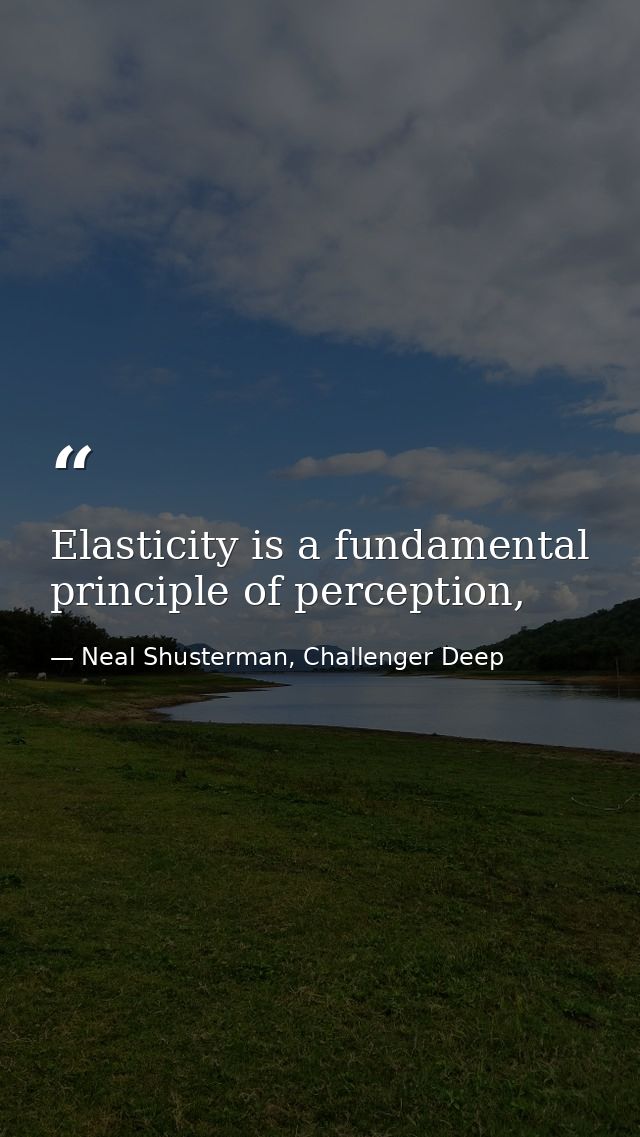 Elasticity is a fundamental principle of perception, — Neal Shusterman, Challenger Deep