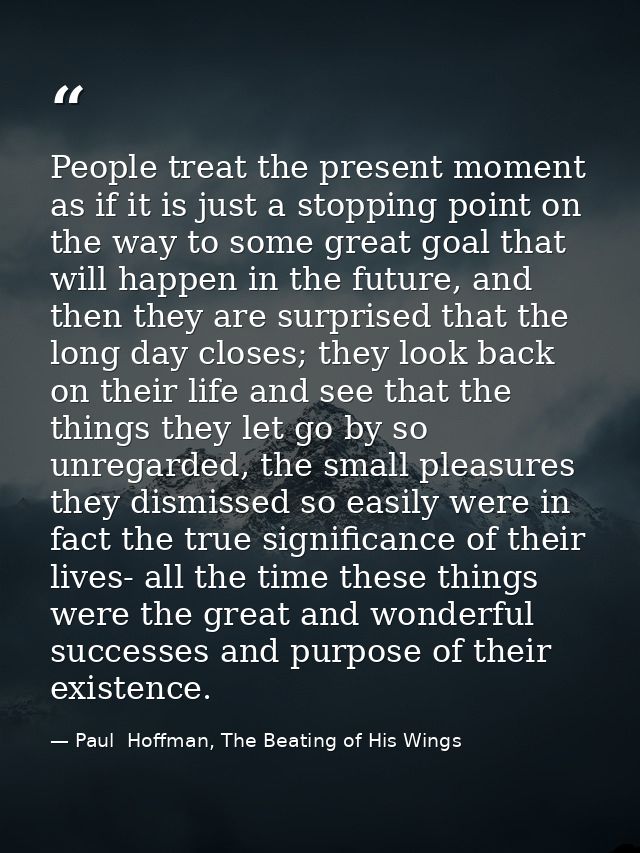 People treat the present moment as if it is just a stopping point on the way to some great goal that will happen in the  — Paul  Hoffman, The Beating of His Wings