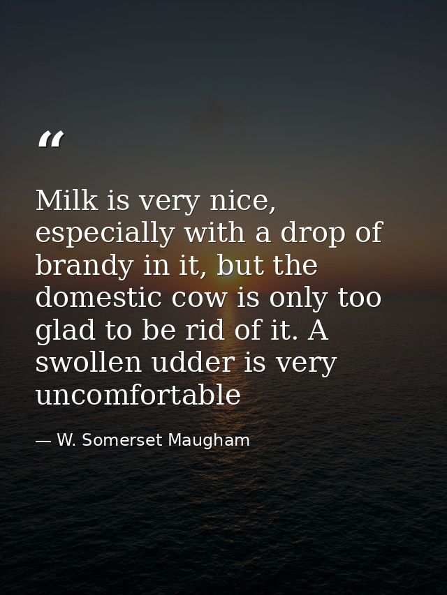Milk is very nice, especially with a drop of brandy in it, but the domestic cow is only too glad to be rid of it. A swol — W. Somerset Maugham